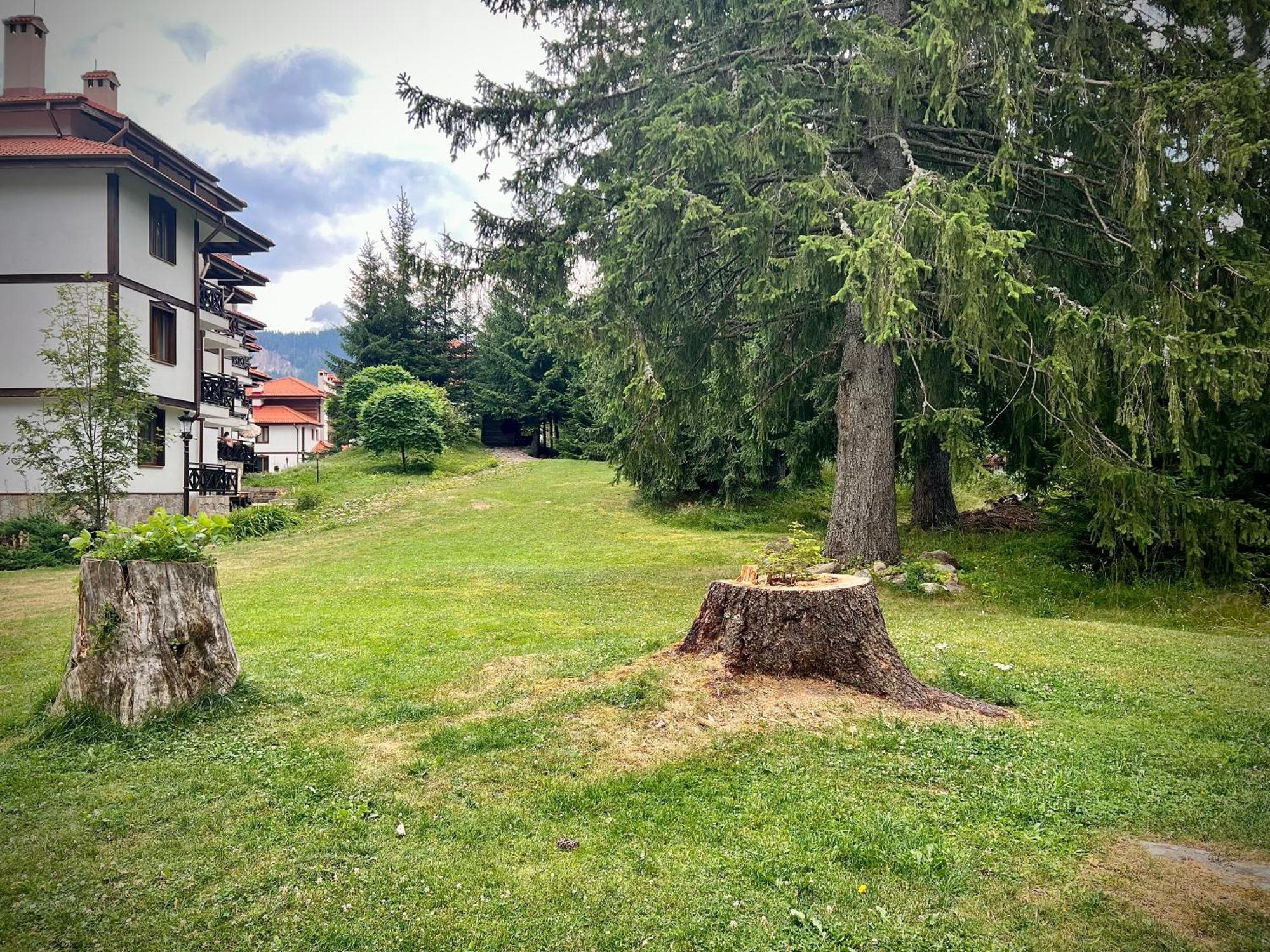Relax Aпартаменти, Смолянски Езера, Вила Венера, К-С Маунтин Лейк 외부 사진